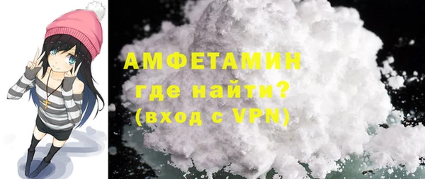 молекула духа Пестово