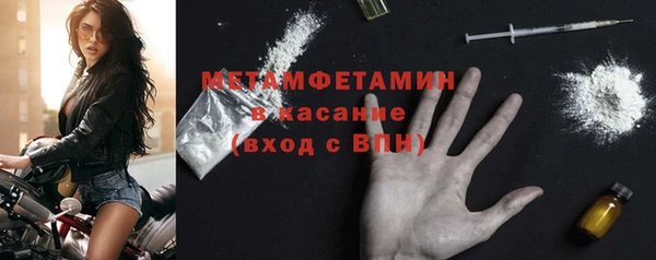 молекула духа Пестово