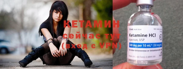 молекула духа Пестово