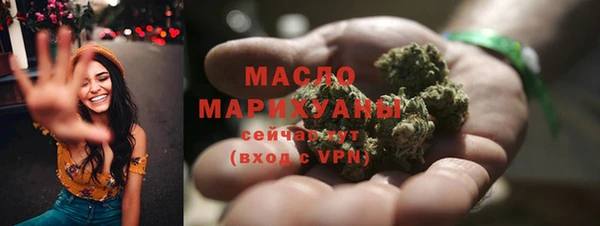молекула духа Пестово