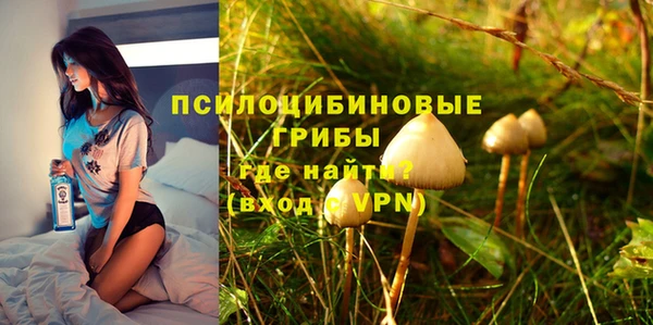 молекула духа Покачи