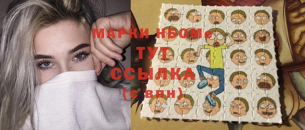 молекула духа Пестово