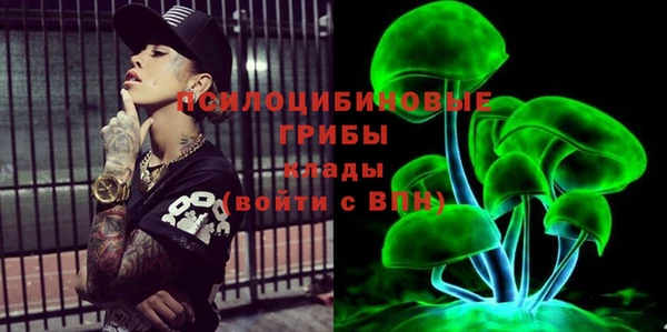 молекула духа Пестово